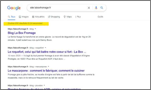 Exemple d'une recherche précise sur Google Search avec la technique site: